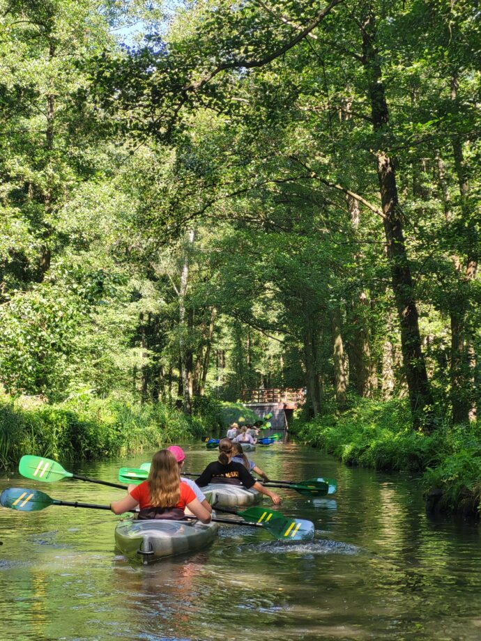 Spreewald (3)