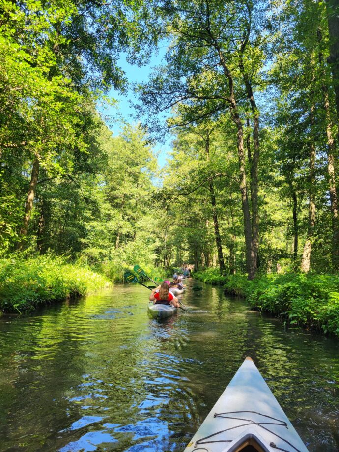 Spreewald (4)