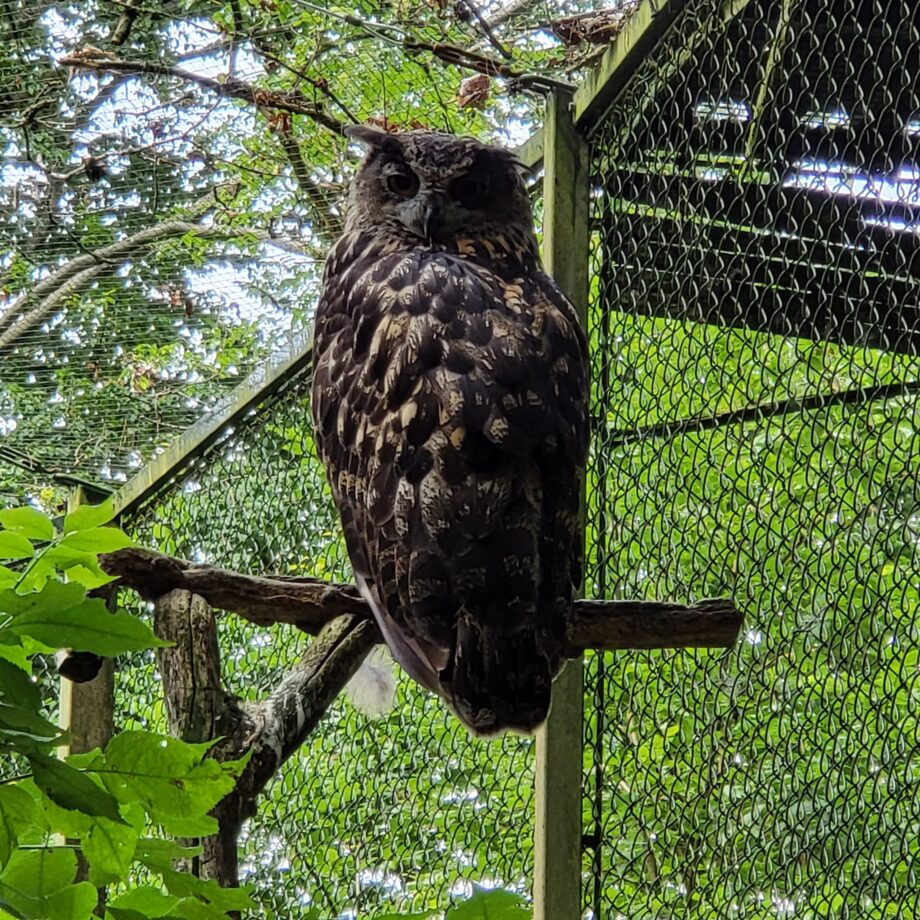 Tierpark (5)